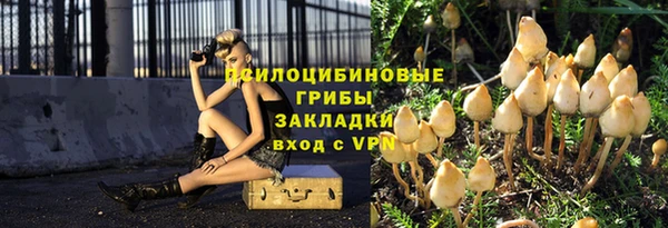 прущая мука Майский