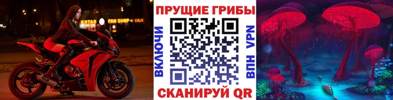 Купить  Севск  Псилоцибиновые грибы Magic Shrooms 